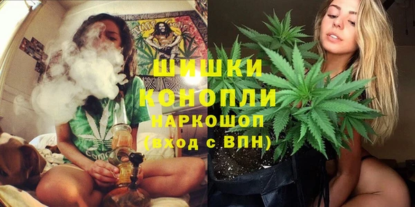 винт Алексеевка