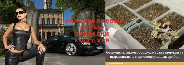 винт Алексеевка