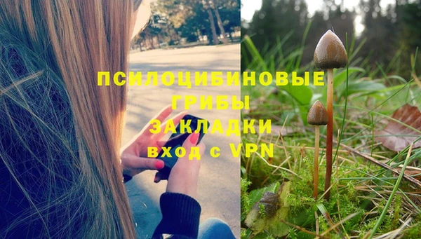 apvp Нязепетровск