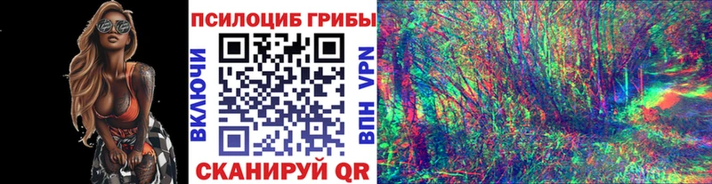 Псилоцибиновые грибы мицелий  купить закладку  Поронайск 